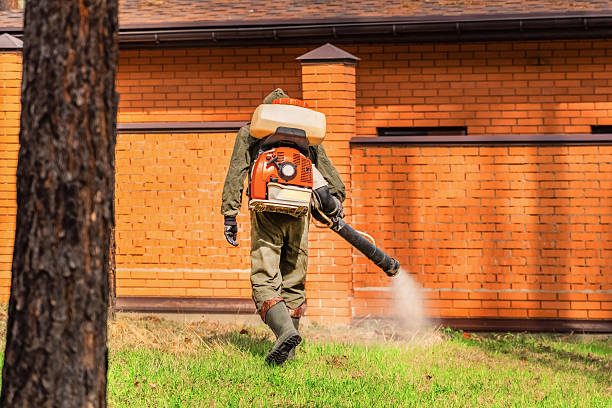 Trusted Mosquito Control service in Centerport, NY - Nex Pest Control